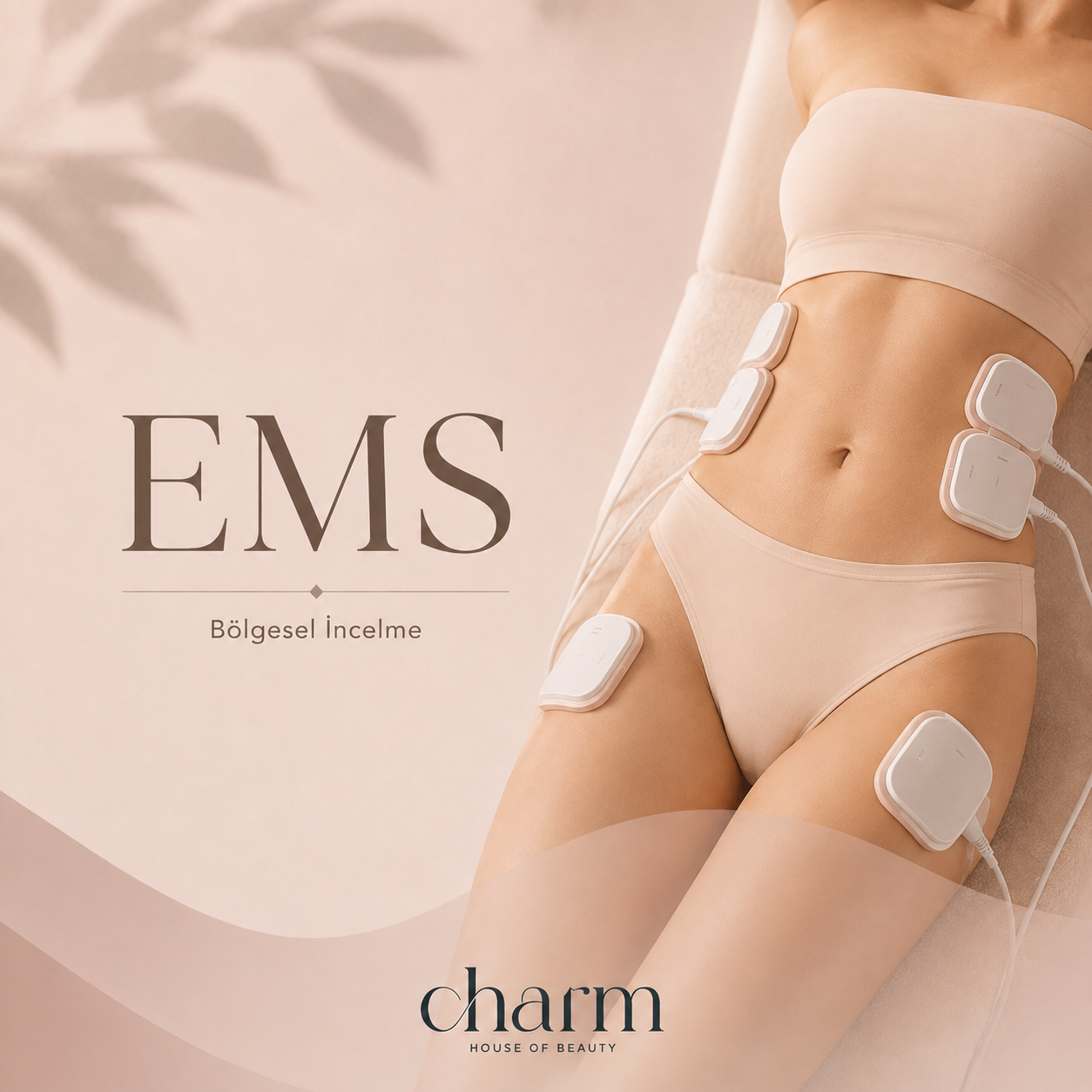EMS