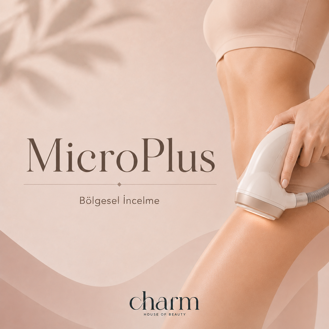 MicroPlus